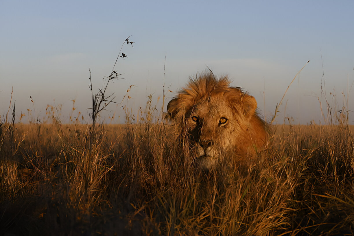 Destination Pakistan Destination Pakistan