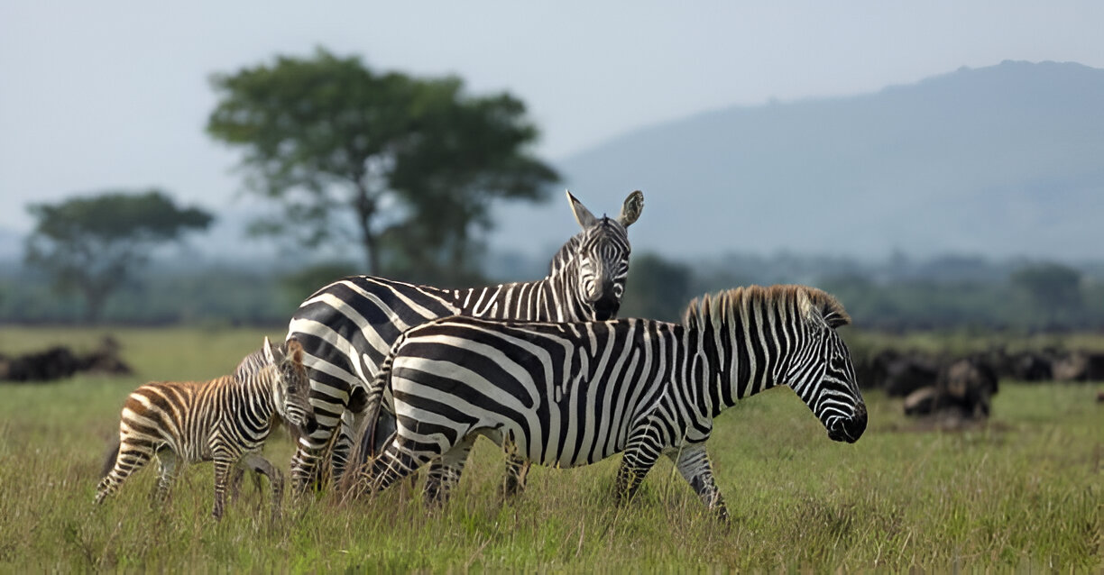 Destination Pakistan Destination Pakistan