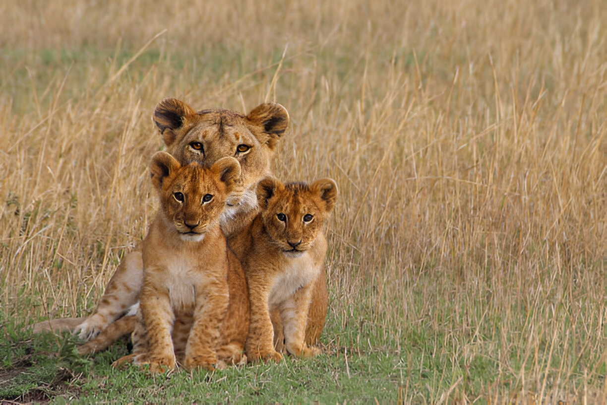 Destination Pakistan Destination Pakistan