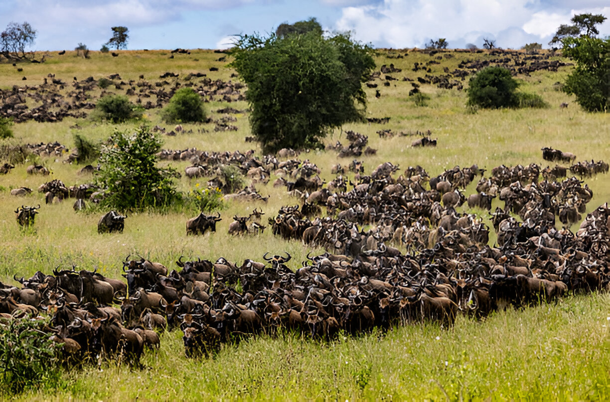 Destination Pakistan Destination Pakistan