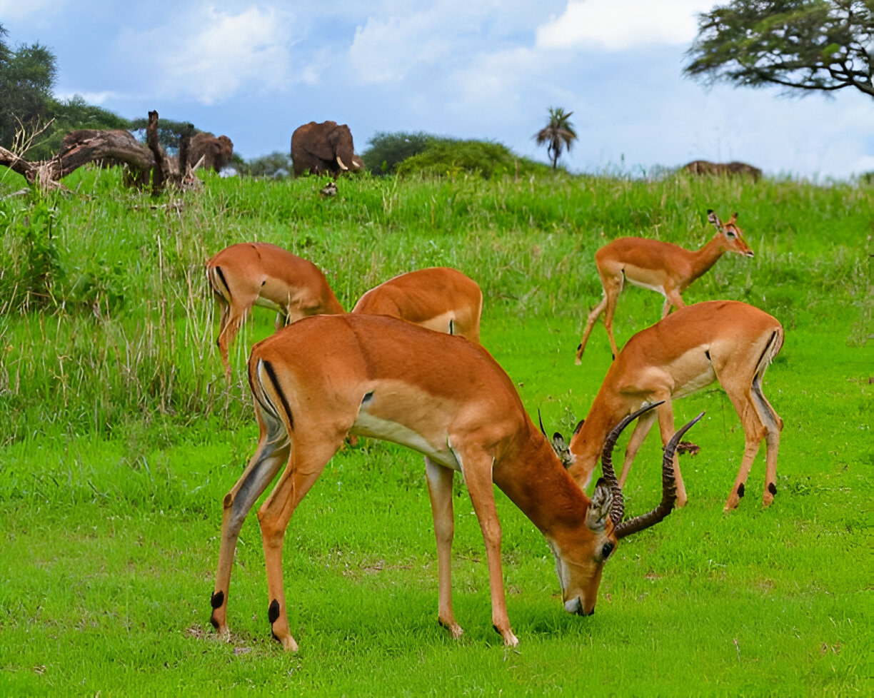 Destination Pakistan Destination Pakistan