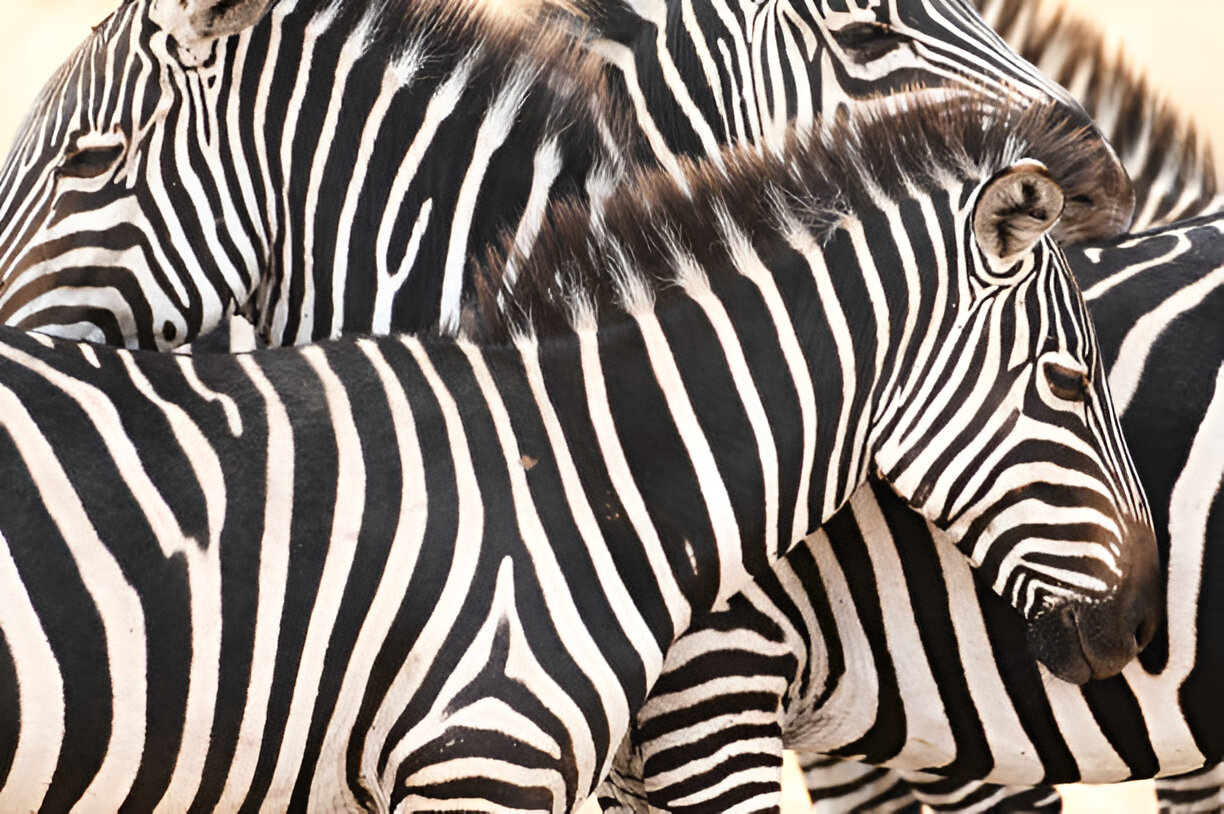 Destination Pakistan Destination Pakistan