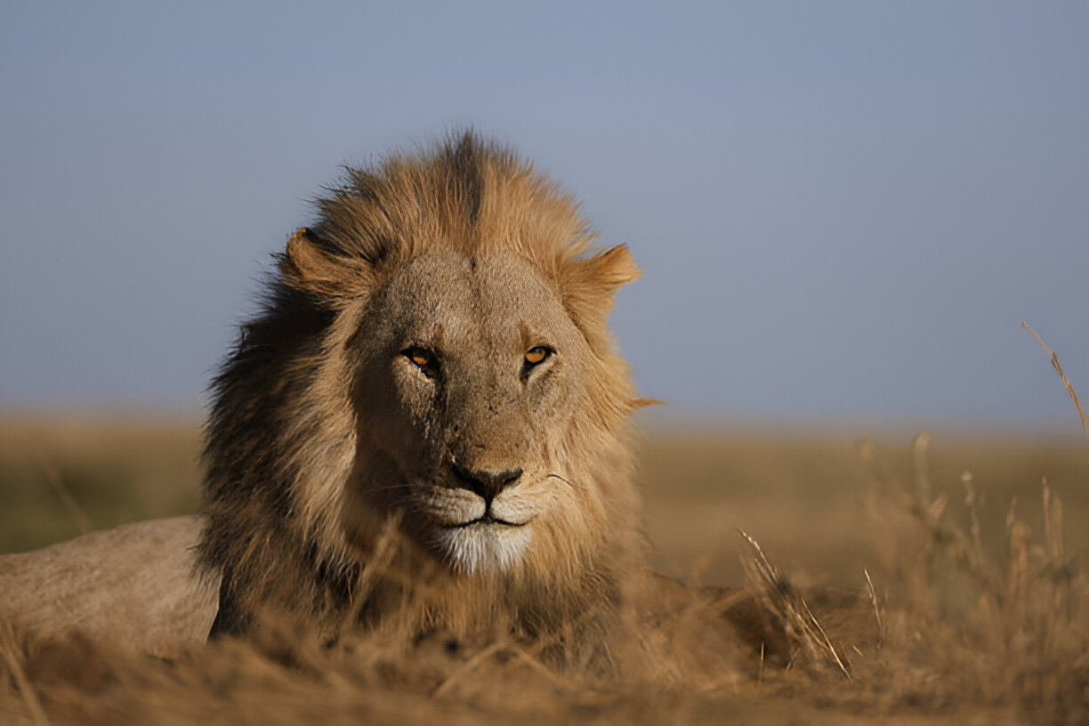 Destination Pakistan Destination Pakistan