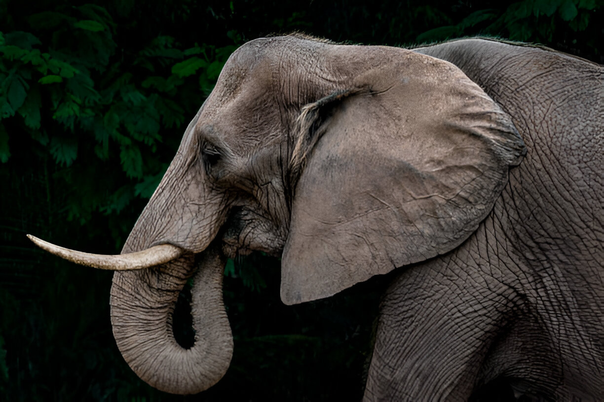 Destination Pakistan Destination Pakistan