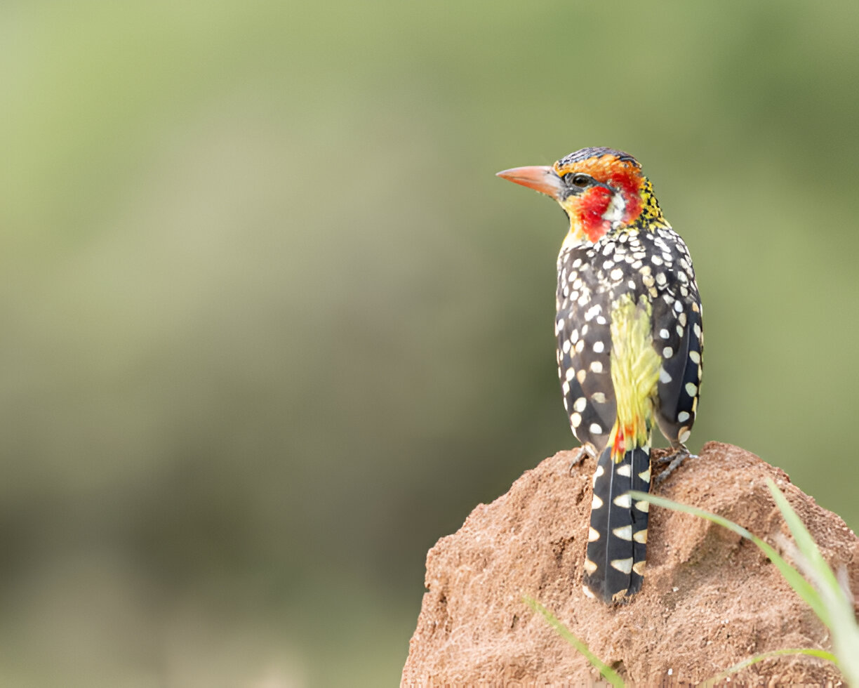 Destination Pakistan Destination Pakistan