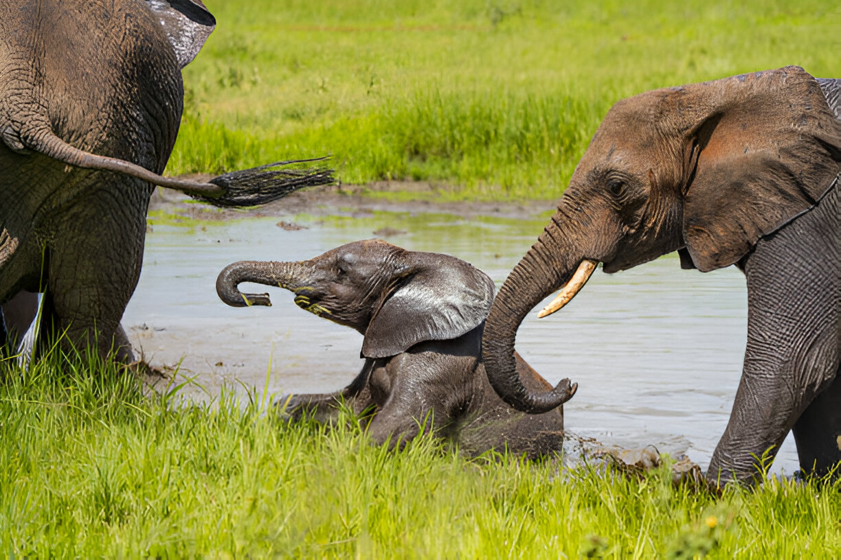 Destination Pakistan Destination Pakistan