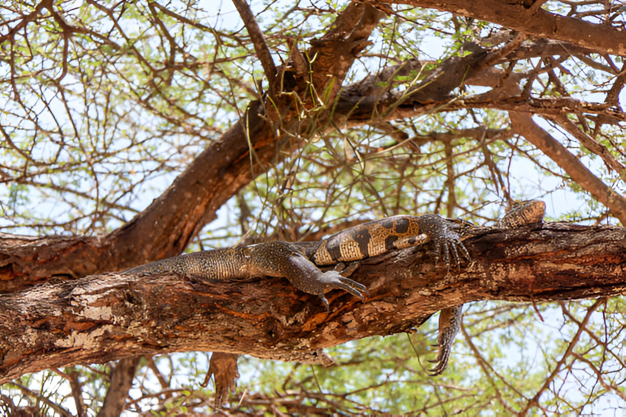 Destination Pakistan Destination Pakistan