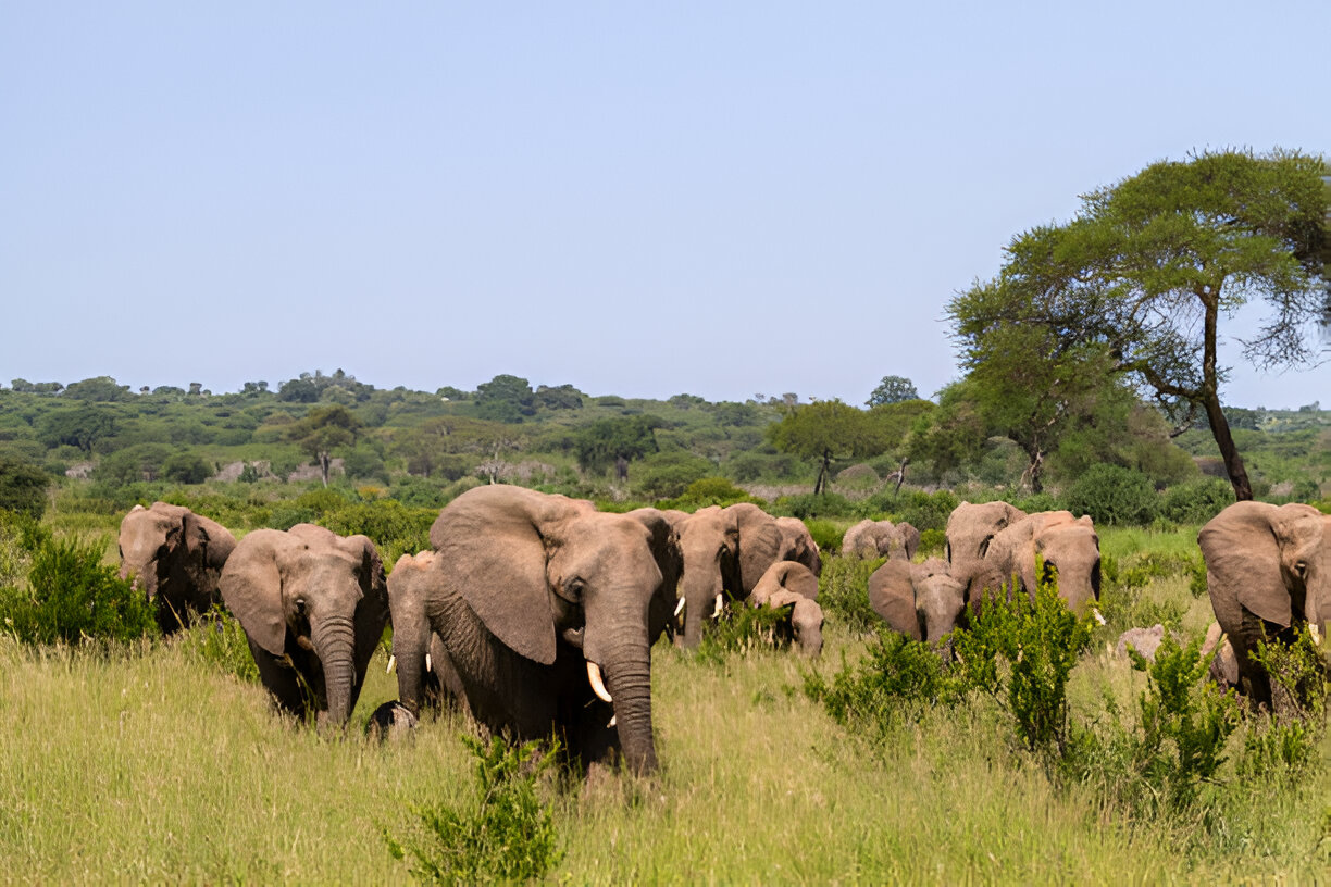 Destination Pakistan Destination Pakistan