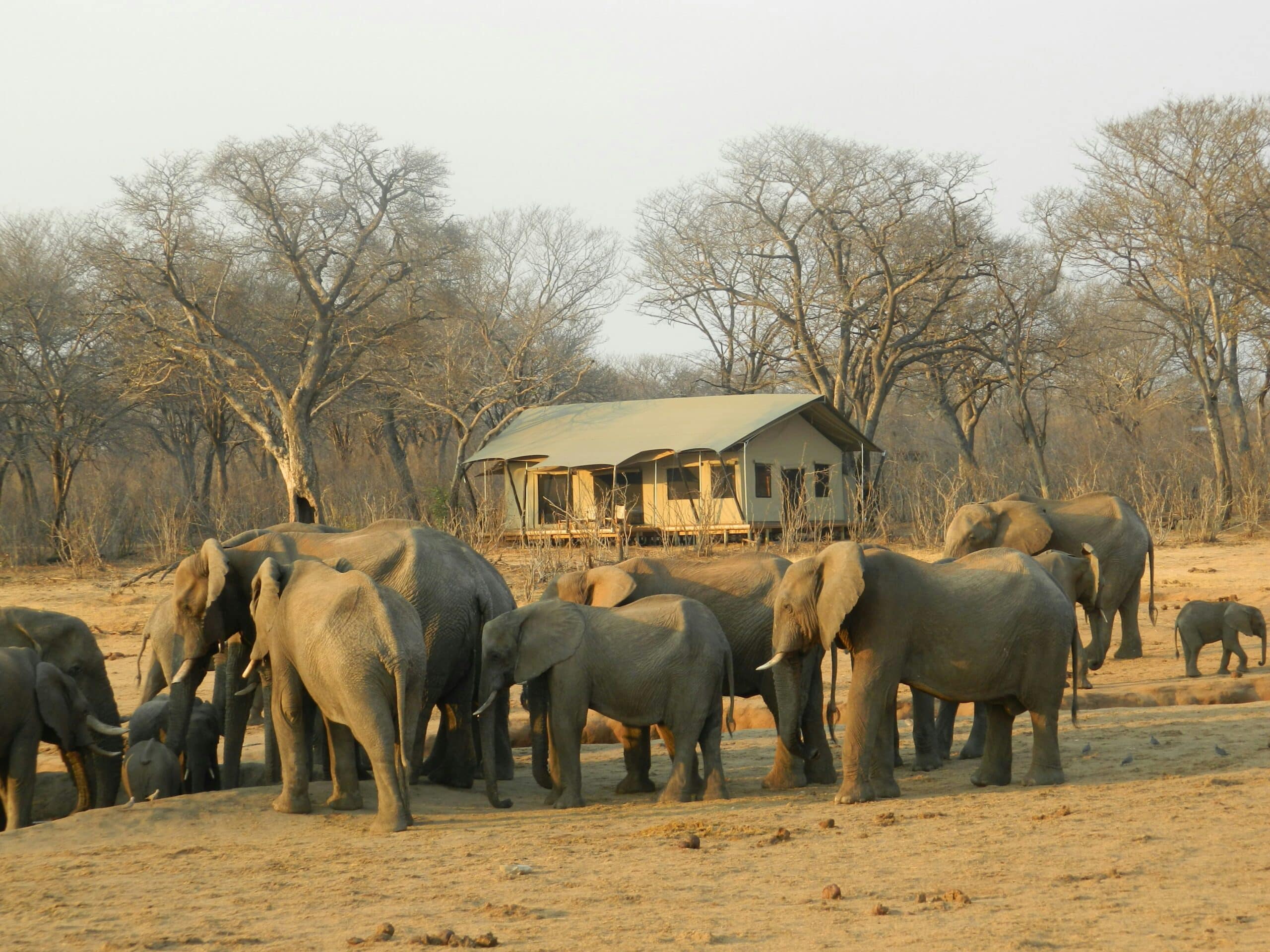 Luxury Zimbabwe Safari – Victoria Falls & Hwange National Park